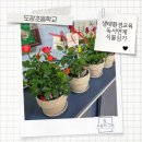 장미유치원 | 산본의왕군포도장초등학교 생태환경교육｜독서연계 장미심기 원예 수업 후기
