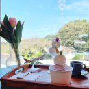 피오르디 젤라또 이미지