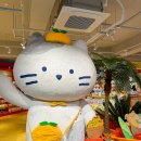 샵제주 - 제주시 애월해안로 867 | 샵제주