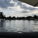 써니 애프터눈 | 나트랑] 아미아나 깜란 후기 2 (조식, 애프터눈티, 디너, 수영장)