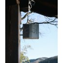 풍전쭈꾸미 | Nikon Zf - 안동 [ 산온 리트릿 ]