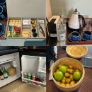 마이소잉룸 | 나트랑 4인숙소 퓨전리조트 2베드룸 오션뷰 스위트룸 공항픽업 시내셔틀 후기