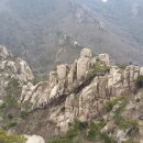 영암실내체육관 실내체육관 이미지