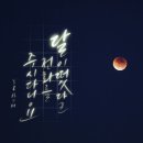 붓펜으로 하는 캘리그라피 이미지