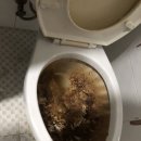 홍합공중화장실 | 동대문 답십리동 변기 막힘 홍합껍데기 막혔을 때 가격 비용 해결 변기 탈거