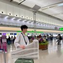 차차카서비스 | 오키나와 태교여행 | 렌트카여행에서 뚜벅이여행으로 급변경된 4박5일 일정 공유