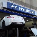 수리수리 차수리 이미지