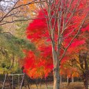 남원 황산대첩비지 | 전북 남원 황산대첩비지/이성계의 발자취