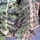 강원도 참두릅 개두릅(엄나무) 고사리 곰취 곤드레 산나물 판매 이미지