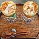 율목애견 이미지