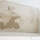 슬로우오션 풀빌라 펜션 이미지