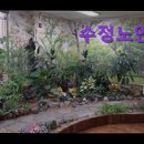 수정중앙노인종합복지관 | 성남, 주간보호센터, 추천!} 수정노인주간보호센터 성남 수정노인주간보호센터, 어르신을 위한 안전한 공간