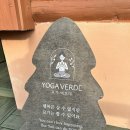 베르데제주 | 요가베르데 제주, 초보자도 가능! 제주 요가 원데이 클래스 찐 후기