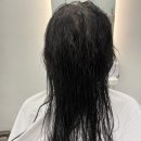 미니비헤어