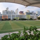 강남역서초써밋롯데캐슬공인중개사사무소 이미지