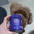 나이트 | 밤까지 편안하게 지켜줄게 강아지종합영양제추천 이지케어나이트 후기