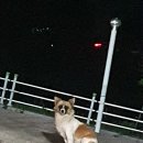 신동테니스장 이미지