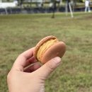 썸타는 분식 | [일상] 잘 먹고 잘 자고 잘 노는 어른이 되는 것