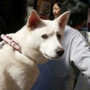 마루밀면 이미지