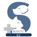 위례S동물의료센터 | 위례 심장전문 동물병원｜ 2025 하반기 위례S동물의료센터 보호자님들이 주신 선물