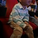 문화가있는날 | 🎬 문화가 있는 날 영화 할인 총정리 | 주토피아2 보고 온 11월 후기 (2025 최신)