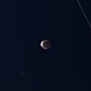 지윤육회연어 이미지