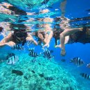 여주-0417 | 일본 여행기 1 - 8월의 오키나와