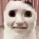 아주세이프티(주) | 퍼시픽 CX411 CX376 (인천-홍콩, 홍콩-상하이 푸동) 비즈니스 후기 / 홍콩 레이오버 / 푸동 공항 입국 심사