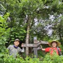 대야리(대실) 이미지