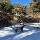 비발디 스케치북 이미지