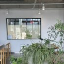 홍콩반점0410속초교동점 이미지