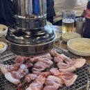 크로스핏그린데이