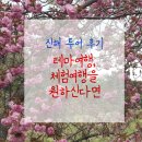 진해 투어 후기-테마여행, 체험여행을 원하신다면