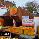 더파더스 | [제주 여행] 제주도 파더스가든 방문 후기 (아이랑 가기 진짜 좋았던 곳) 🍊🌿🦌