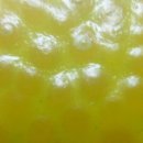 스마트폰 카메라 200 활용 이미지