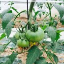 동촌농장 이미지