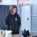 도로시지켜줄개 이미지