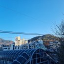 나비 게임장 이미지