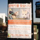 예술의전당앞 교차로 한가람미술관 앞 네이버블로그