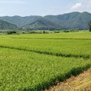 장안마을회관 이미지