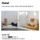 펌킨 펫하우스 서울숲 이미지