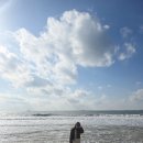 서해바다해물요리 | 보령 게국지 맛집｜풍미 꽃게장·게국지 솔직 후기 + 대천 겨울바다