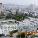 식객 허영만의 백반기행 광주편 예고 이미지