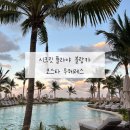 31140-9-12-1 | W11. LA•칸쿤 신혼여행 9-12일차🇲🇽 (칸쿤 시크릿 플라야 블랑카 무헤레스 대추천 후기)