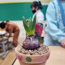 예천늘봄 이미지