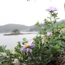 금강송계곡민박 이미지