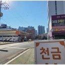천금부동산공인중개사사무소 이미지