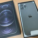 마론애견 이미지