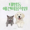 갤럭시펫 애견미용 | 태평동애견미용학원 이바우펫 방문 후기