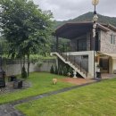 댕댕포레스트 이미지